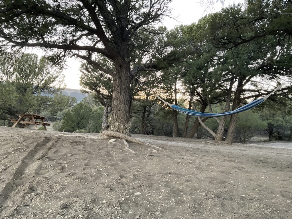 Dry Campsite hammock